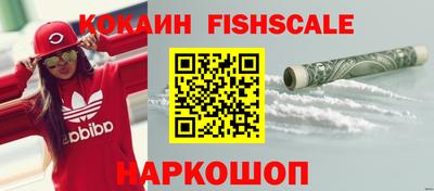 крисы Будённовск