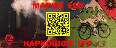 крисы Будённовск