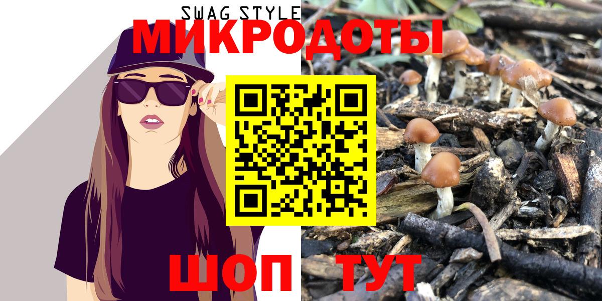 Галлюциногенные грибы Psilocybe Тихвин